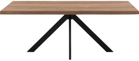 Goossens Eettafel Blade, Boomstamblad 200 x 100 cm 5 cm dik