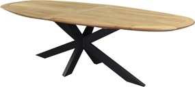 Showroommodel Mulia dining tuintafel 280x130xH76 cm ovaal