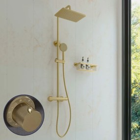 Saniclear Vision Stripes opbouw regendouche met 20x30cm hoofddouche geborsteld messing - mat goud