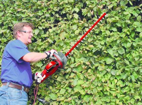 Einhell GC-EH 6055/1 Heggenschaar