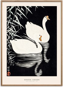 Poster White Chinese Geese met eikenhouten lijst