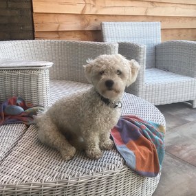 Intenso Venetië loveseat tuinset 2-delig