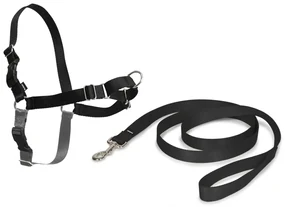 PetSafe Hondentuig Easy Walk L zwart