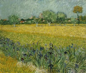 Kunstreproductie Field with Flowers near Arles, 1888, Vincent van Gogh