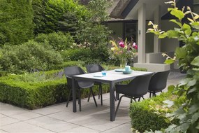 Set van 4 - Hartman Sophie Element dining armstoel - Xerix