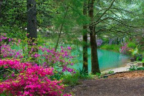 Foto Spring FLowers -and Lake view--Gibson County, William Reagan