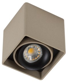 Bjorn 1 Opbouwspot Champagne