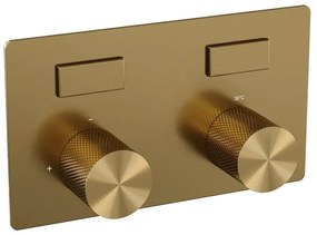 BRAUER Gold Carving - 2 functies - inbouwthermostaat - drukknoppen - in/afbouwdelen - goud geborsteld PVD 5-GG-157