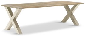 Dining Tuintafel  240 x 100 cm Taupe Cardiff
