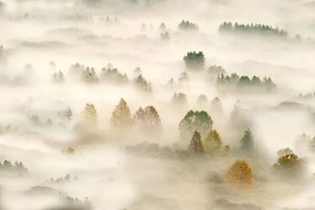 Foto Autumn dream, Roberto Marini