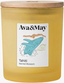 Geurkaars Tahiti (monoï, Tahitiaanse vanille & amber)