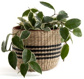 Bloempot in herbariumØ13 cm, Mila