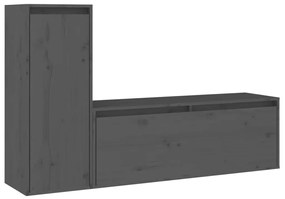 vidaXL Tv-meubelen 2 st massief grenenhout grijs