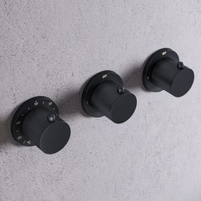Saniclear Plus Curved inbouw badkraan met vrijstaande uitloop en staafhanddouche zwart mat