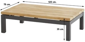4 Seasons Capitol loungetafel 120 x 75 cm.