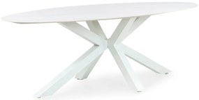 Dining Tuintafel ovaal 240 x 107 cm Aluminium/keramiek Wit Santika Ellisse