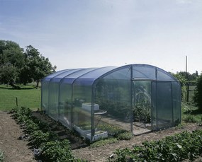 Filclair Elegant tunnelserre - 4,20 x 6,00m - 25,2m²