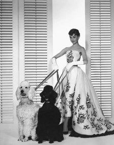 Foto Audrey Hepburn