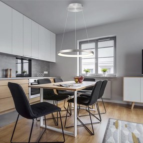 Design hanglamp aluminium incl. LED dimbaar easylift - Hoop Design rond Binnenverlichting Lamp