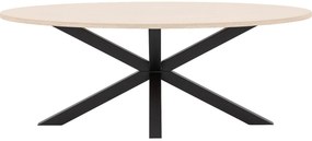 Goossens Eettafel Stone, Ovaal 210 x 120 cm
