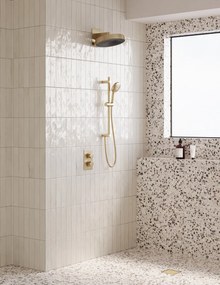 Saniclear Evolution hoofddouche 30cm met wandbevestiging geborsteld messing