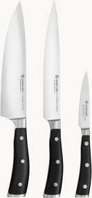 Messenset Classic Icon van edelstaal, 3-delig