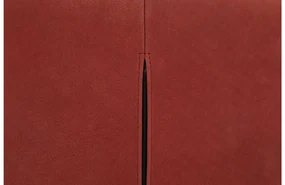 Goossens Excellent Eetkamerstoel Leogang rood leer met armleuning en met wielen, elegant chic