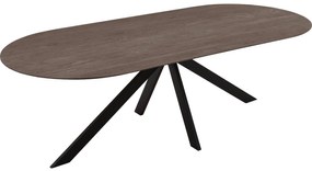 Goossens Excellent Eettafel Uniek, Semi rond 260 x 100 cm