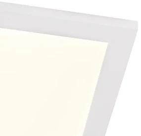 Modern LED paneel staal 120 cm incl. LED 4-staps dimbaar - Liv Modern Binnenverlichting Lamp