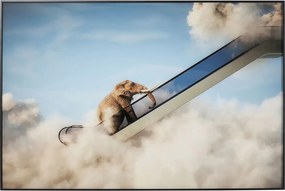 Schilderij Olifant Op Roltrap