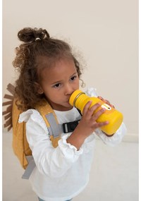 Mr Lion 350 ml kinderfles