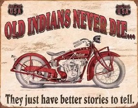 Metalen bord INDIAN - better stories