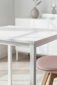 Dino Vierkante Tafel 65 cm