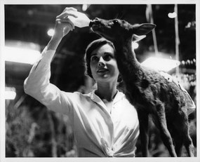 Foto Audrey Hepburn In 'The Green Mansions', Archive Photos