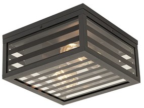 Moderne buiten plafondlamp zwart glas 2-lichts IP44 - Reims Modern E27 IP44 Buitenverlichting vierkant