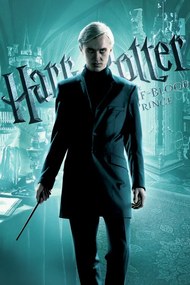 Kunstafdruk Harry Potter - Draco Malfoy