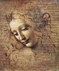 Leonardo da Vinci - Kunstdruk Leonardo da Vinci - Head of a Young Woman, (35 x 40 cm)