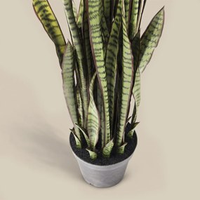 Deco Plant Vrouwentongen