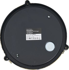 Buiten wand- en plafondlamp antiek goud rond IP44 - Noutica