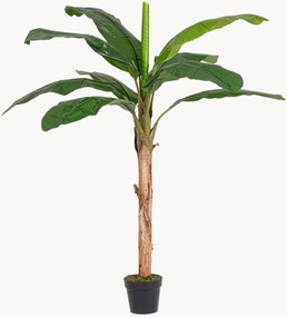 Kunstplanten Banana, 2-delig