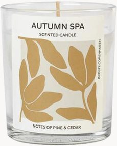 Geurkaars Autumn Spa (den & ceder)