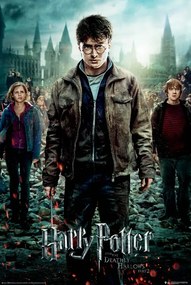 Poster Harry Potter en de Relieken van de Dood, (61 x 91.5 cm)
