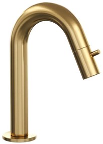 BRAUER Gold Edition Fonteinkraan - opbouw - 12.1cm uitloop - Goud geborsteld 5-GG-320