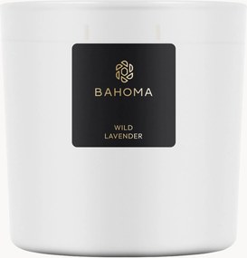 Geurkaars Wild Lavender (mariene akkoorden)