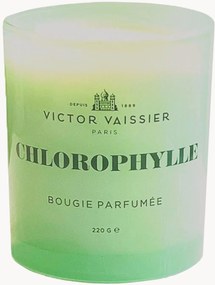 Handgegoten geurkaars Chlorophylle (tulpen, vetiver, freesia)