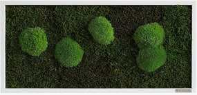 Handgemaakte mos- en bolmoswanddecoratie Wild, ingelijst