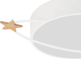 Witte Maan Lamp Plafond APP865-C