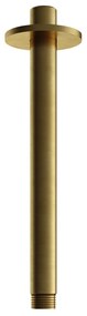 Hotbath Archie plafondarm 20cm messing geborsteld PVD