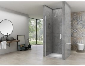 Van Rijn Products ST02 Nisdeur - 60x200cm - helder glas - dikte 6mm - incl. glasbehandeling - chroom ST02LP10059