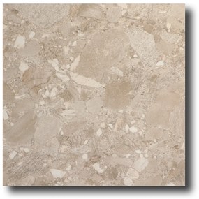 Vloertegel 60x60 Cm Terrazzolook Amelia Beige CC38